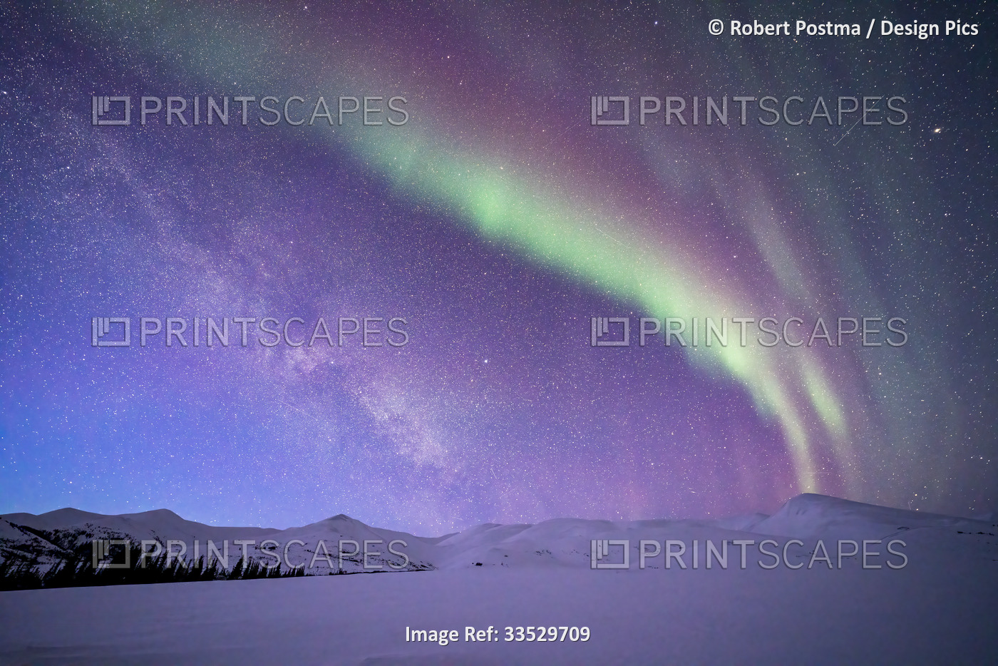Aurora borealis (or northern lights) over the Dempster Highway and the snow ...