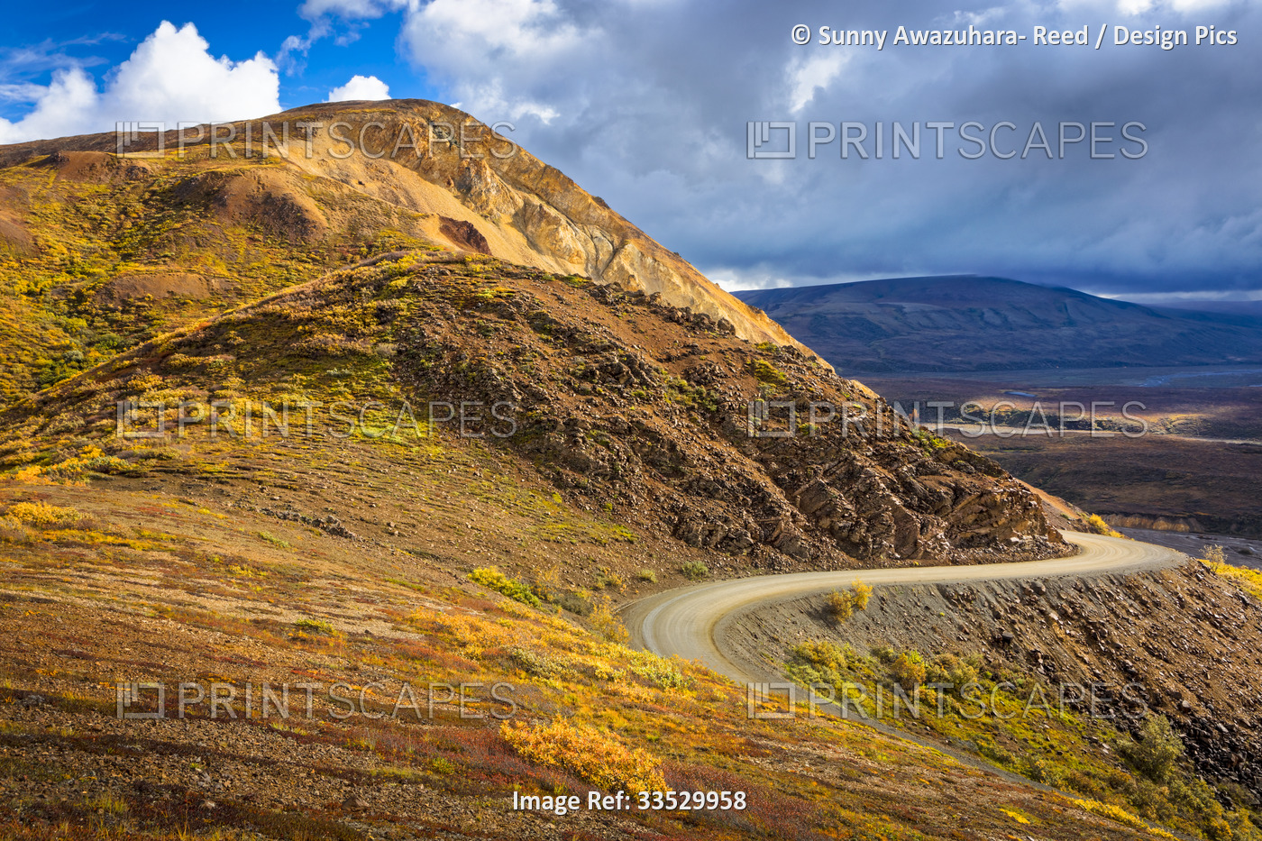 Park Road along Polychrome Pass with fall colors on the tundra; Denali National ...