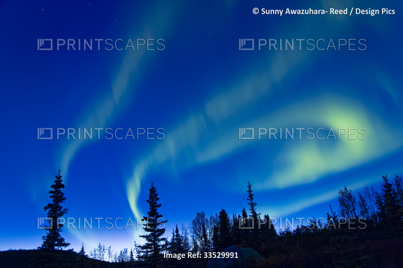 Northern Lights swirling over Wonder Lake Campground in Denali National Park ...
