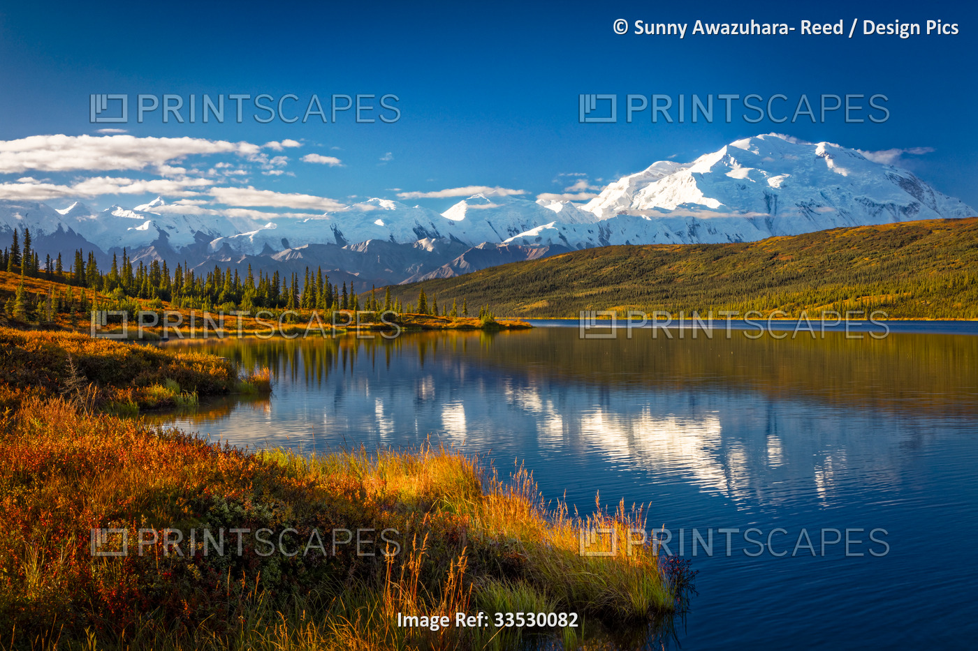 Mount Denali (McKinley) reflects on Wonder Lake under a blue sky in autumn; ...