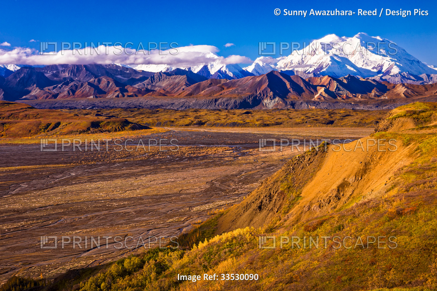 Mount Denali (McKinley) and Muldrow Glacier, viewed from Eielson Bluffs in ...