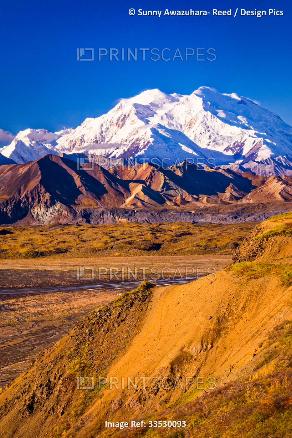 Close-up of Mount Denali (McKinley) and Muldrow Glacier, viewed from Eielson ...