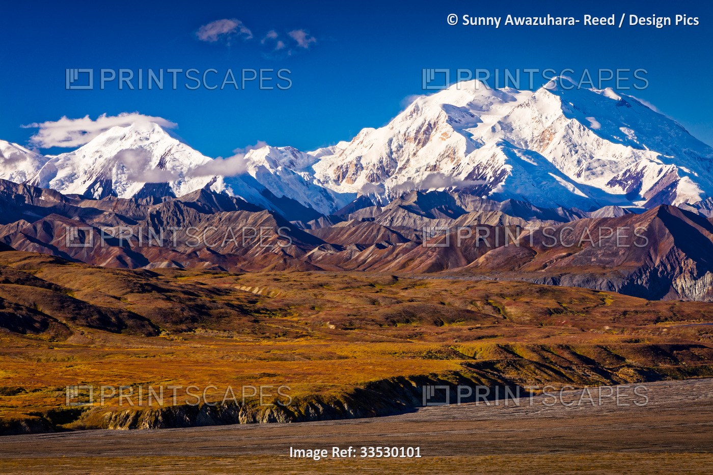 Close-up of Mount Denali (McKinley) and Muldrow Glacier, viewed from Eielson ...