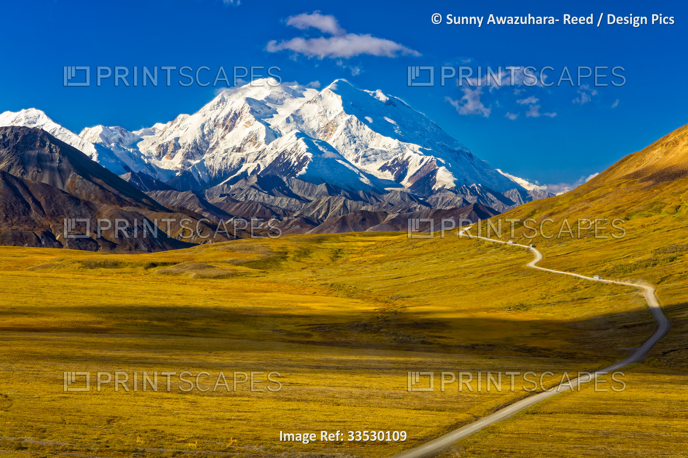 Mount Denali (McKinley), viewed from Stony Hill with the fall colored tundra ...