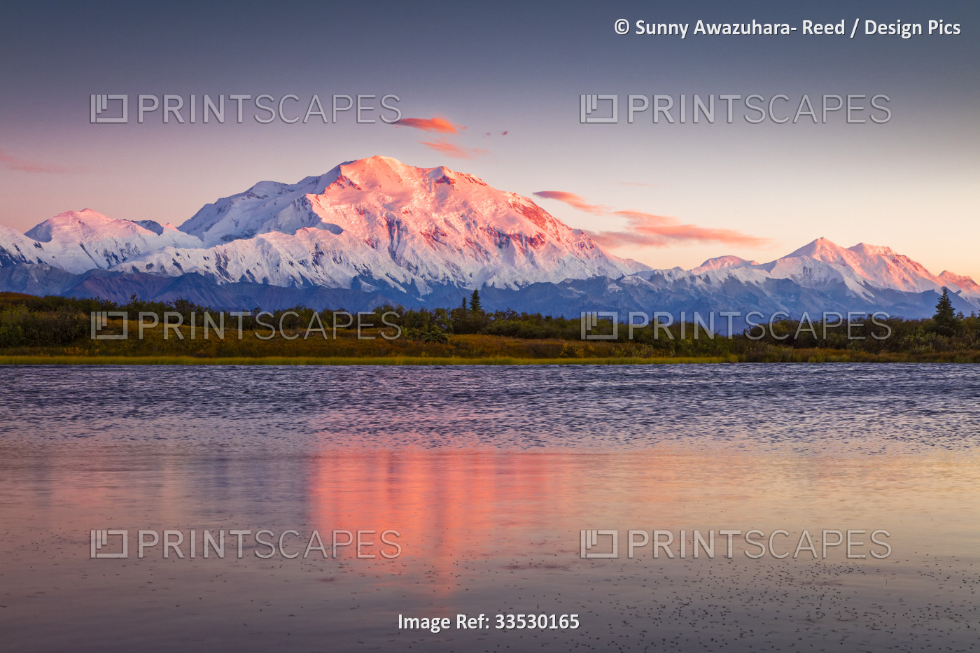 Sunset glow on Mount Denali (McKinley) reflecting in the ripples of the Denali ...