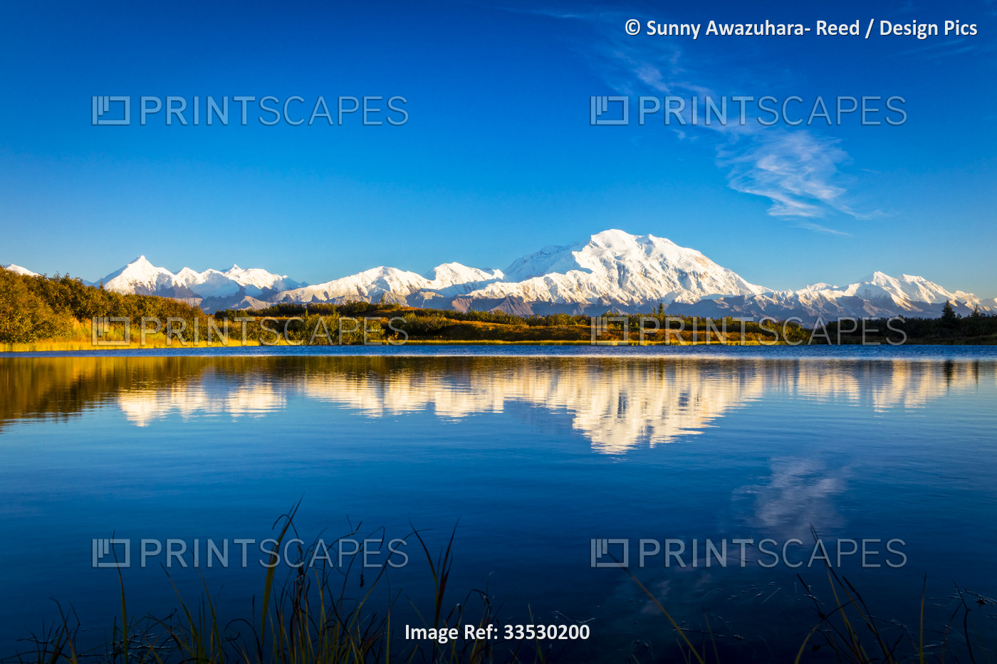 Reflection of Mount Denali (McKinley) on the calm Denali Reflection Pond under ...