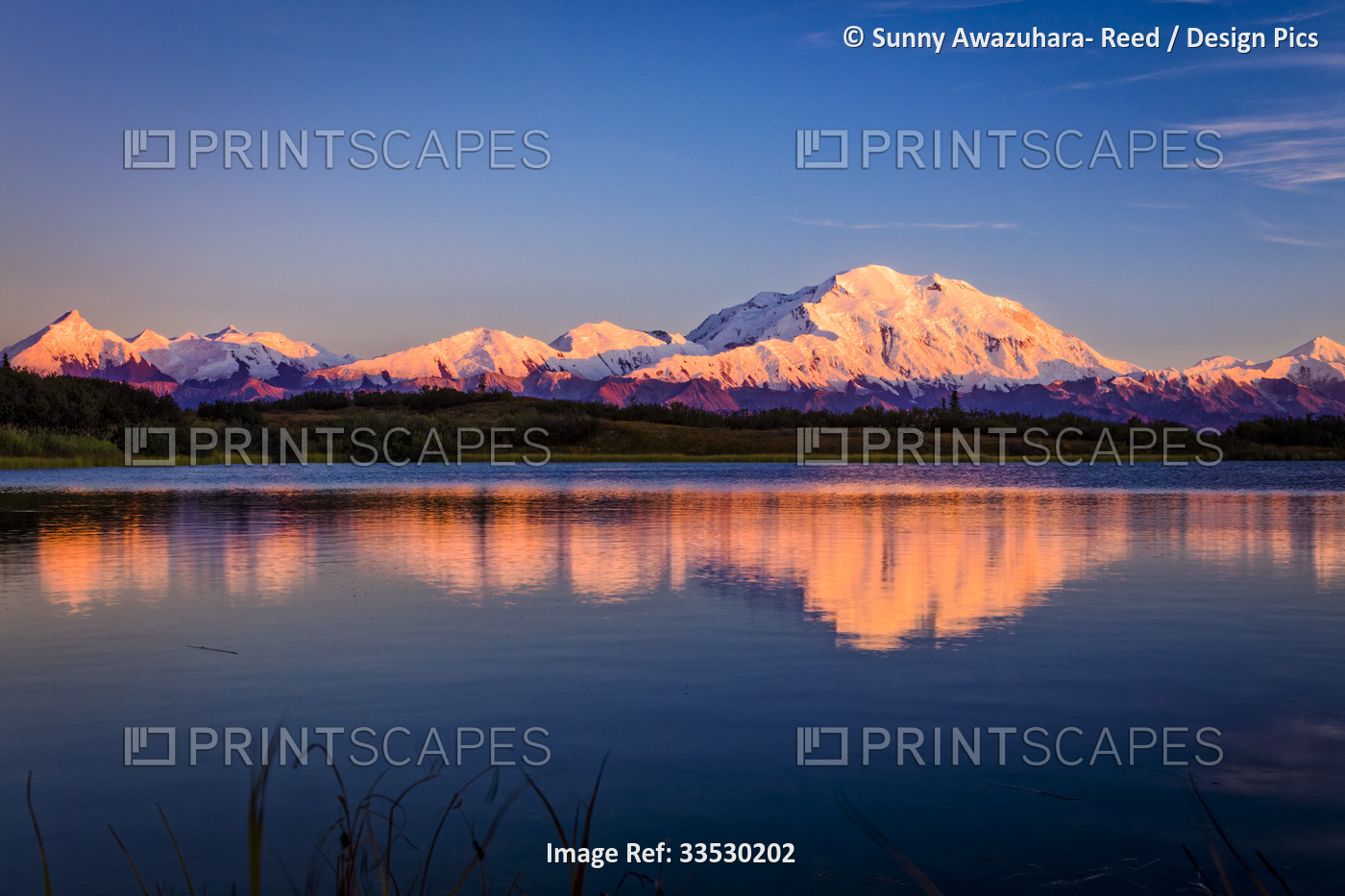 Sunset glow on Mount Denali (McKinley) reflecting on the Reflection Pond; ...