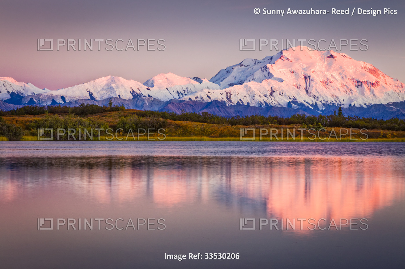 Close-up of Mount Denali (McKinley) with a rose color glow, reflecting on the ...