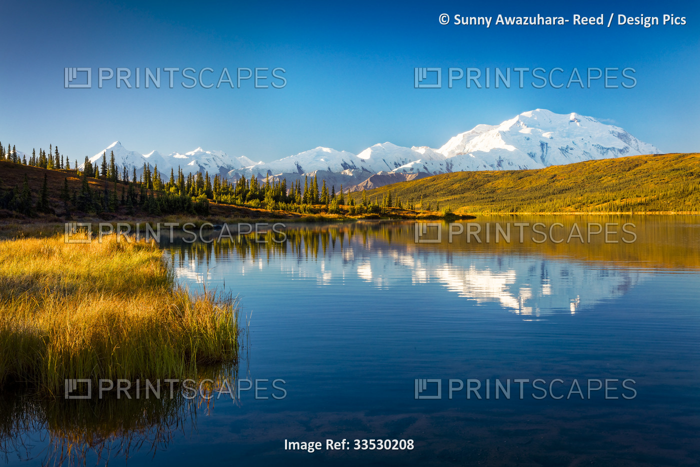 Mount Denali (McKinley) reflecting on the calm water of Wonder Lake with fall ...