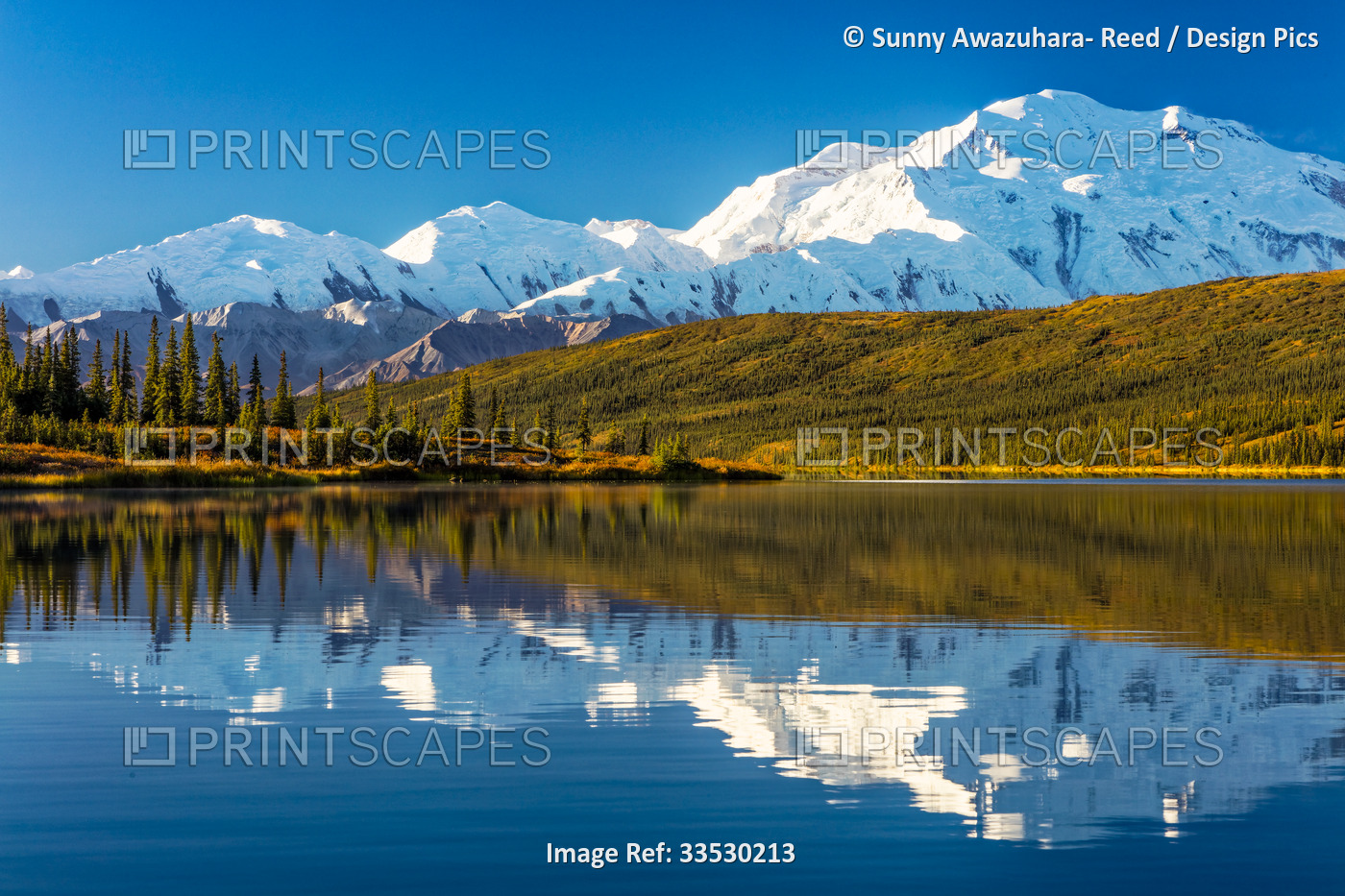 Close-up of Mount Denali (McKinley) reflecting on the calm water of Wonder Lake ...