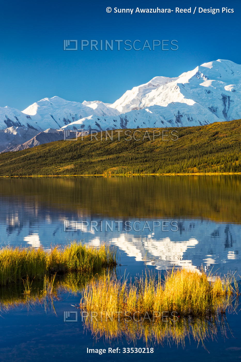 Close-up of Mount Denali (McKinley) reflecting on the calm water of Wonder Lake ...