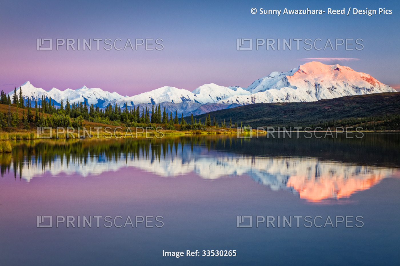 Sunset glow on Mount Denali (McKinley) reflects on Wonder Lake with pastel sky, ...