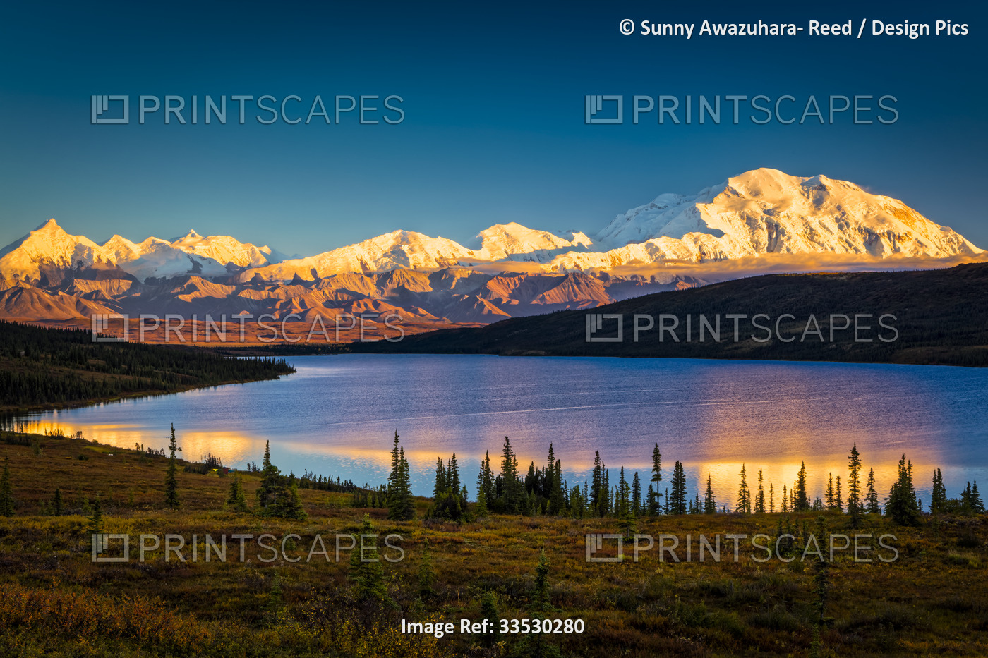 Sunset glow on Mount Denali (McKinley) reflects on Wonder Lake with blue sky, ...