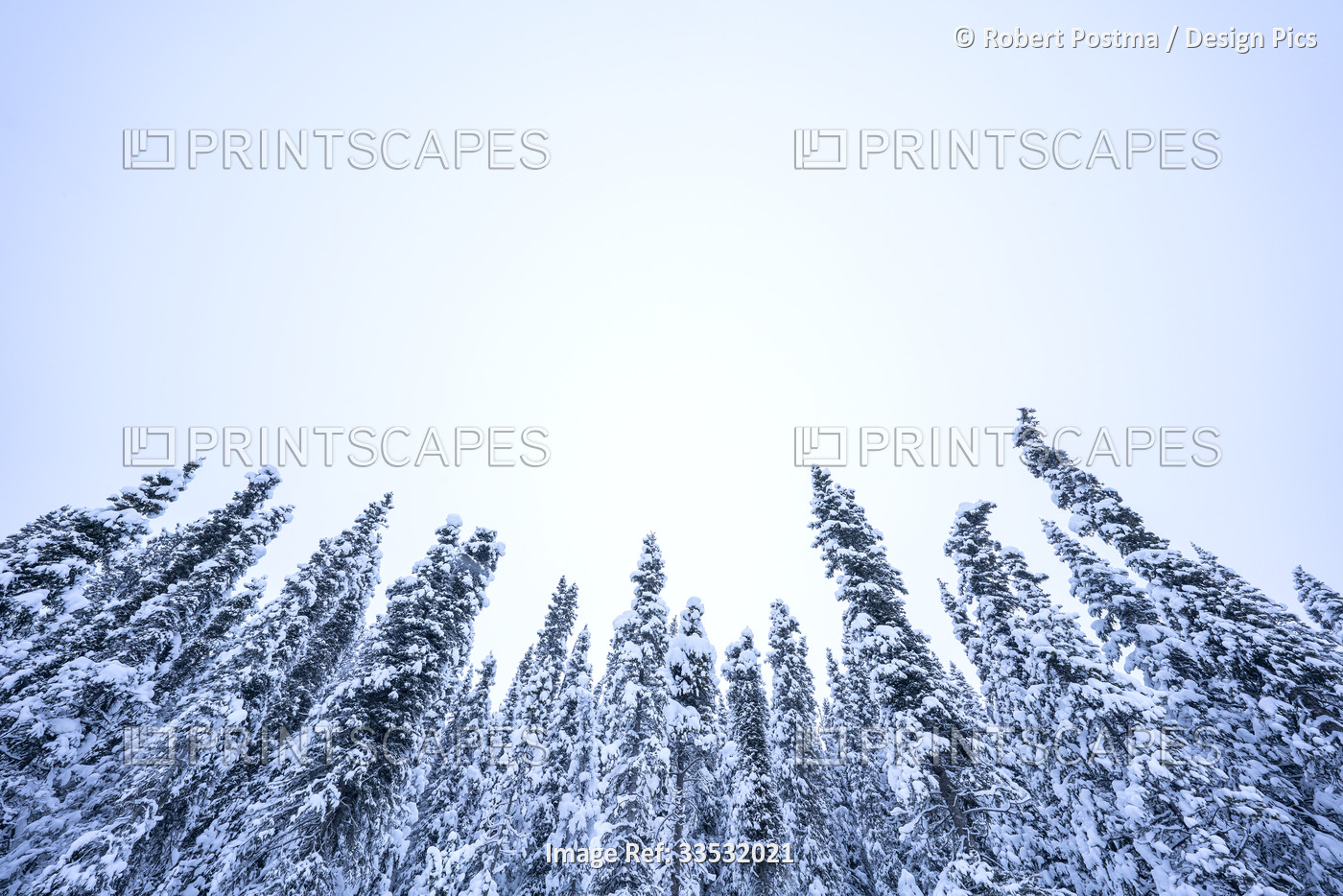 Wintery landscape around the city of Whitehorse; Yukon, Canada