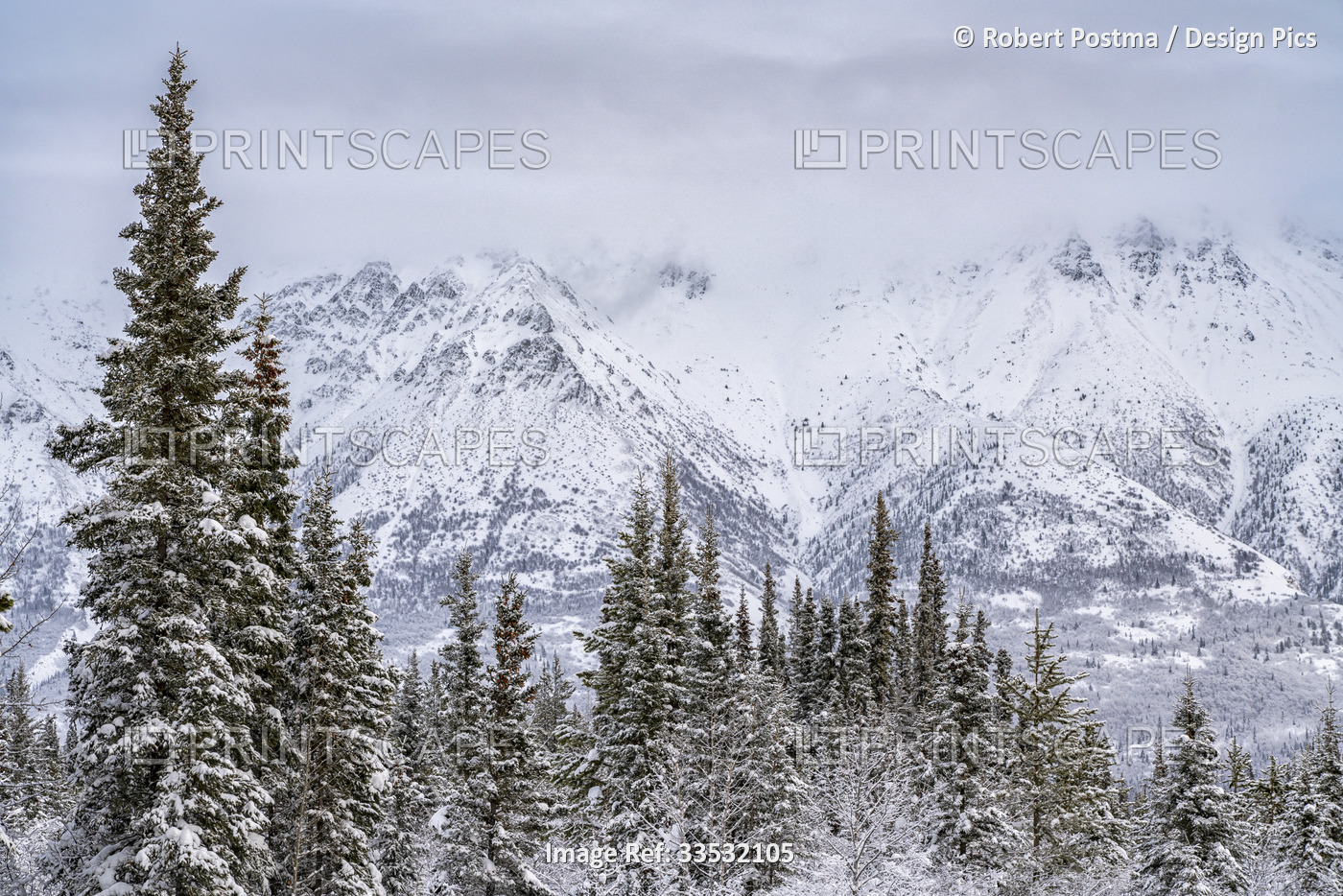 Winter landscape around Whitehorse, Yukon, Canada; Yukon, Canada