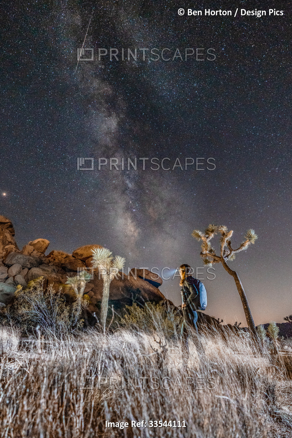 Woman hiking at night with the Milky Way in the night sky above in Joshua Tree ...