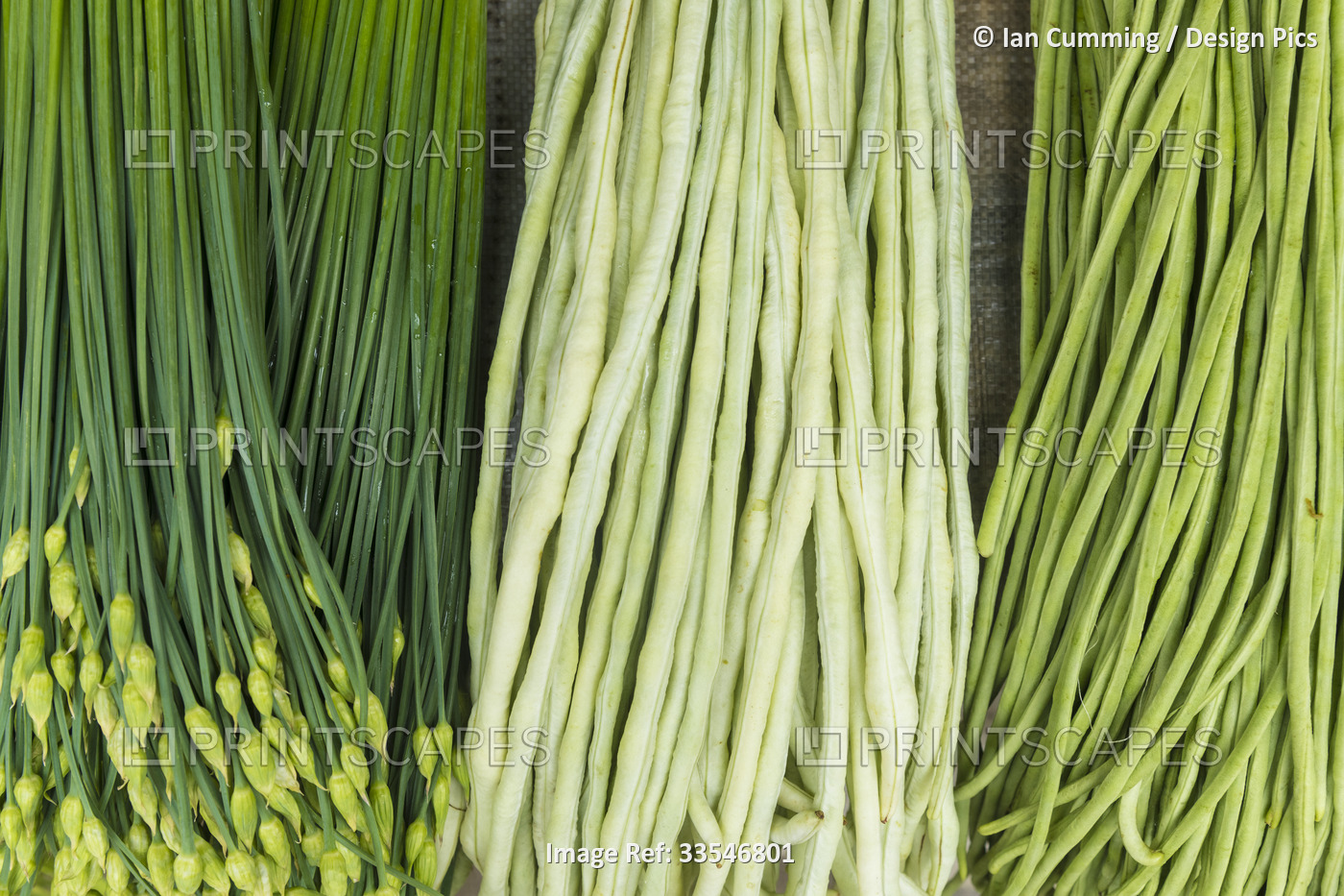 Close-up detail of fresh vegetables, garlic sprouts and Chinese long beans for ...