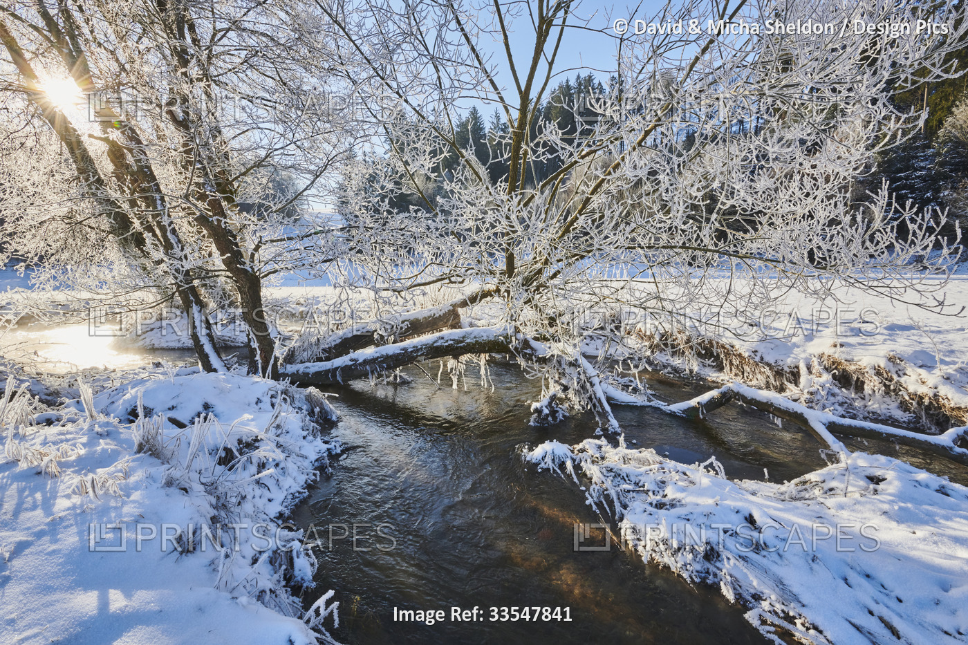Frozen and snowy landscape with a flowing stream; Bavaria, Germany