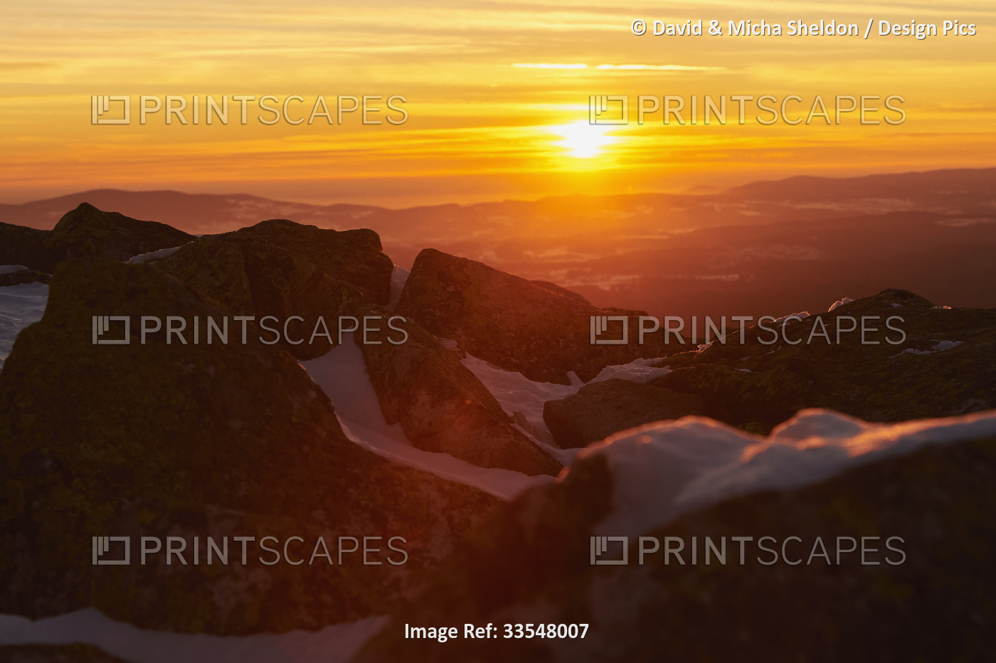 Golden glowing sunset on Mount Lusen, Bavarian Forest; Bavaria, Germany