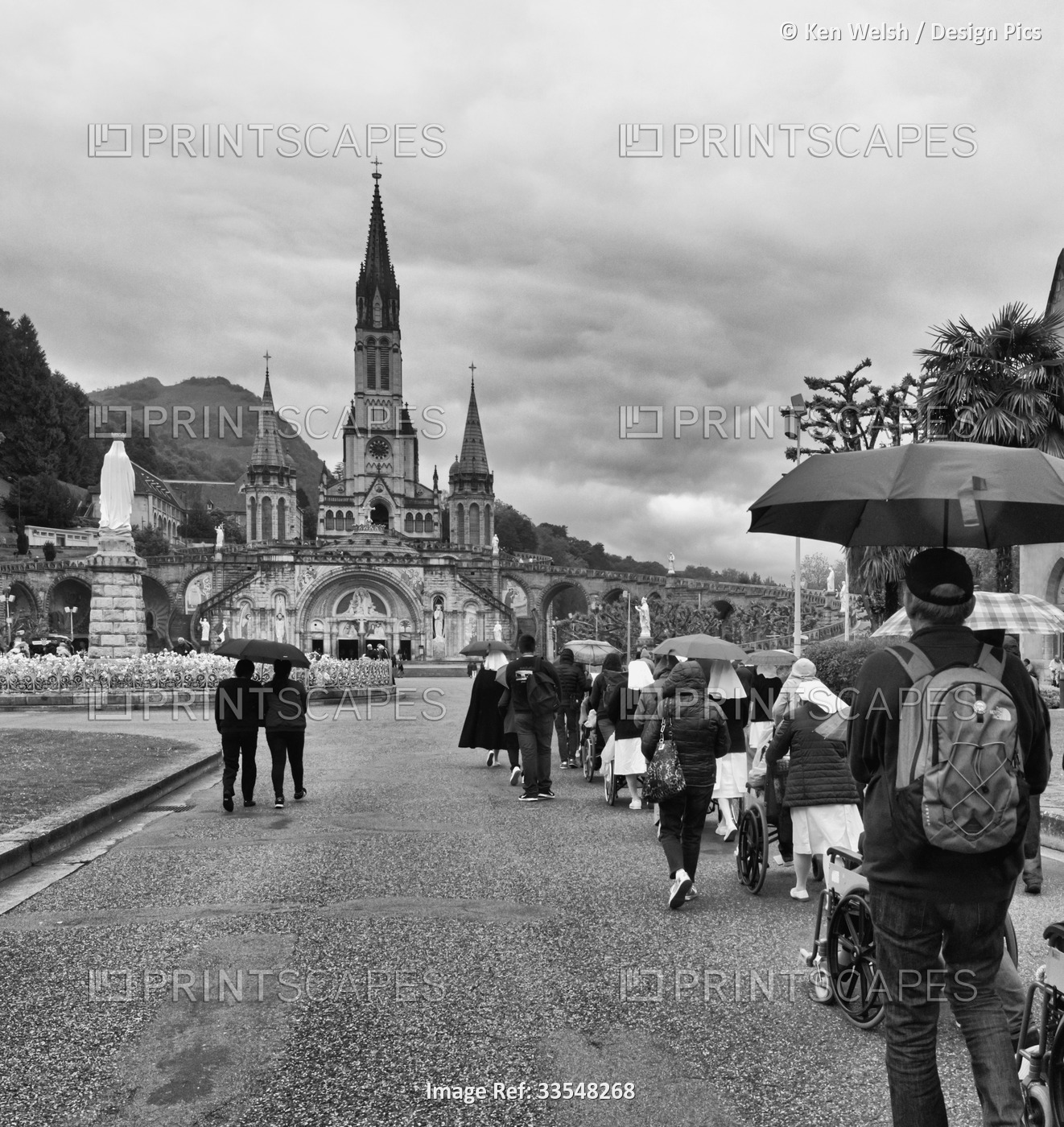People in wheelchairs being wheeled to the Sanctuary of Our Lady of Lourdes in ...