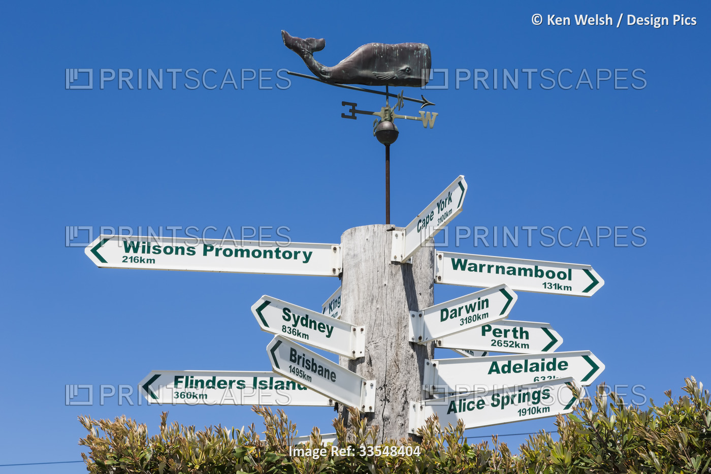 Sign post giving distances to various Australian destinations at Lorne Great ...