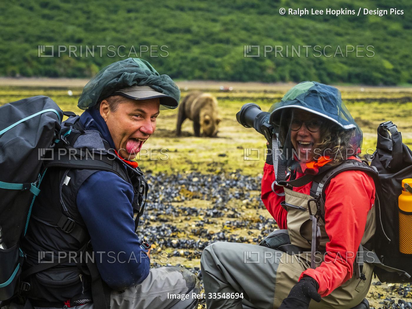 Photographers with Coastal Brown Bear (Ursus arctos horribilis) digging clams ...