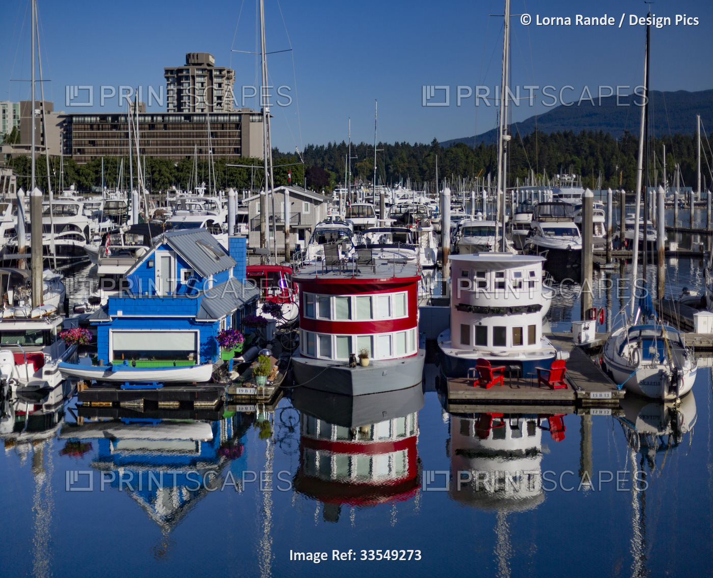 Quaint houseboats moored in a busy harbour; Vancouver, British Columbia, Canada