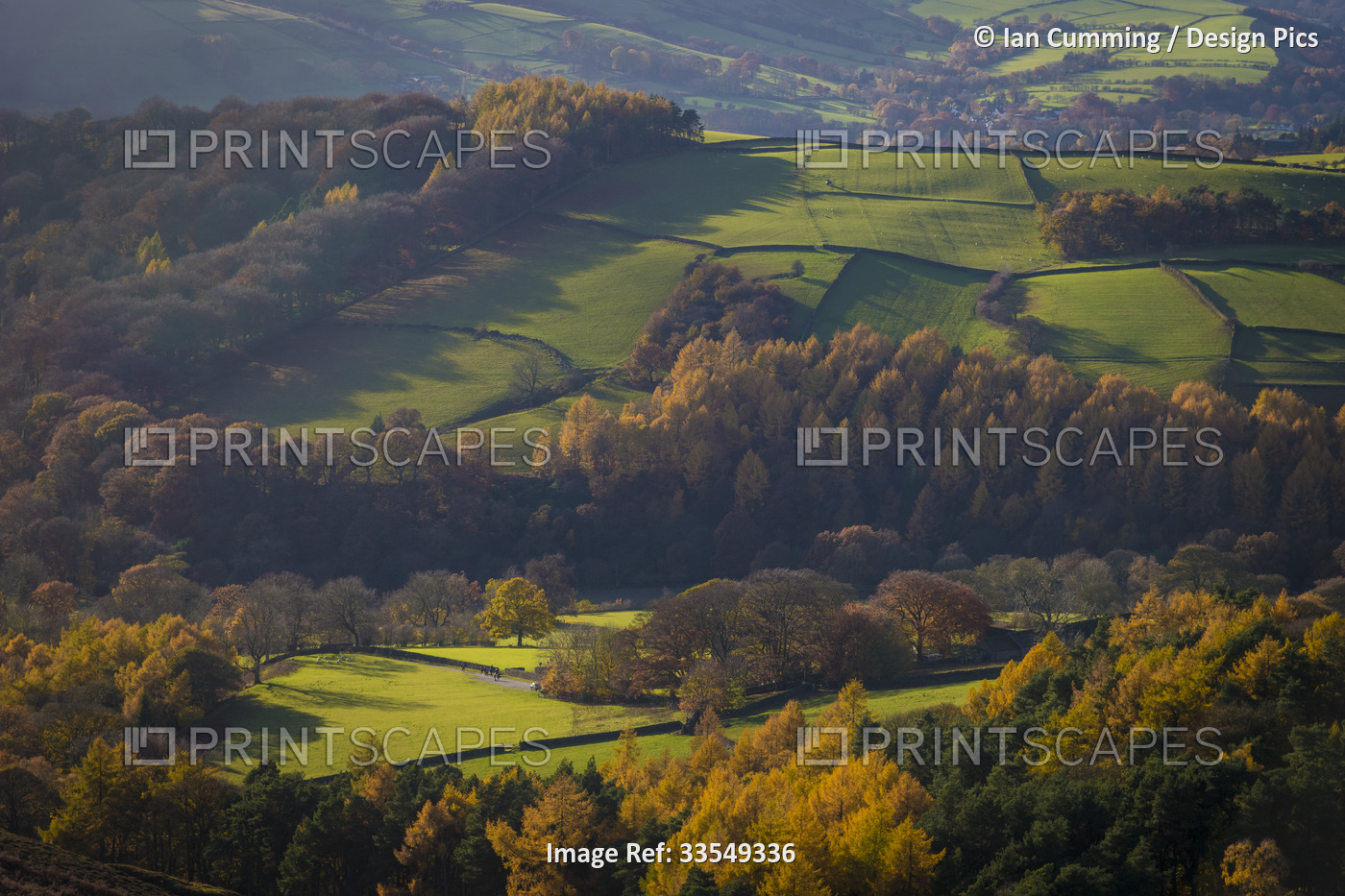 Fields and woods in Autumn near Stanage Edge, Peak District; Derbyshire, ...