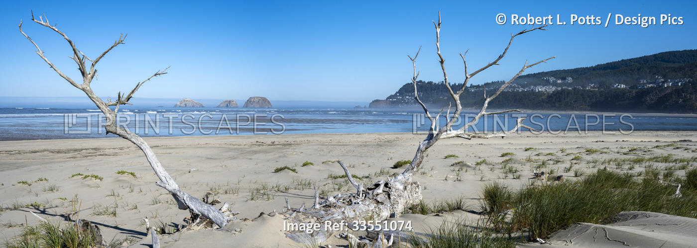 Three Arch Rocks seastacks are visible from Maxwell Point at Cape Lookout State ...