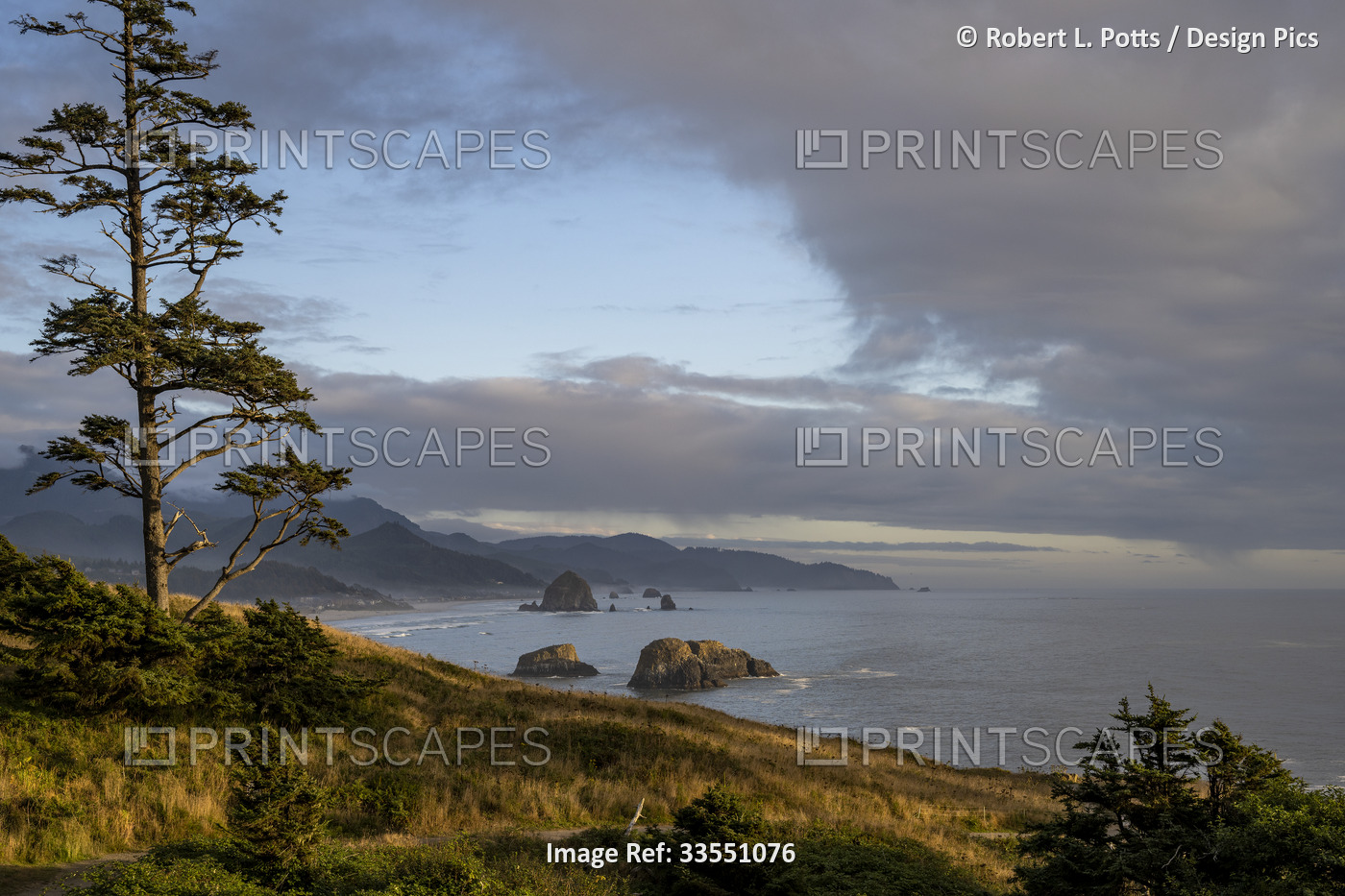 Evening light bathes Chapman Point at Ecola State Park on the Oregon Coast; ...