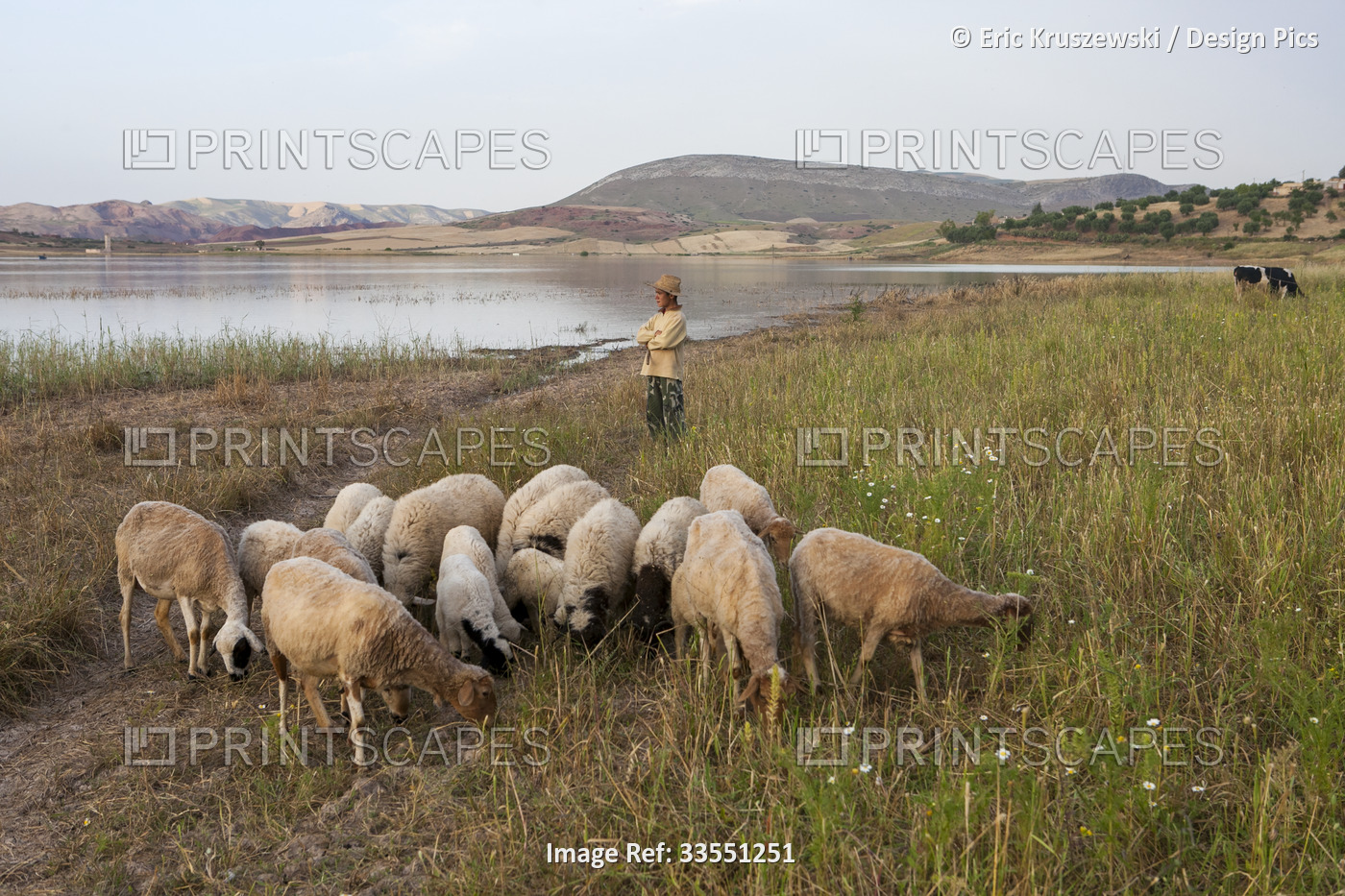 In the rural outskirts of Fes, a young sheep herder looks out over pristine ...