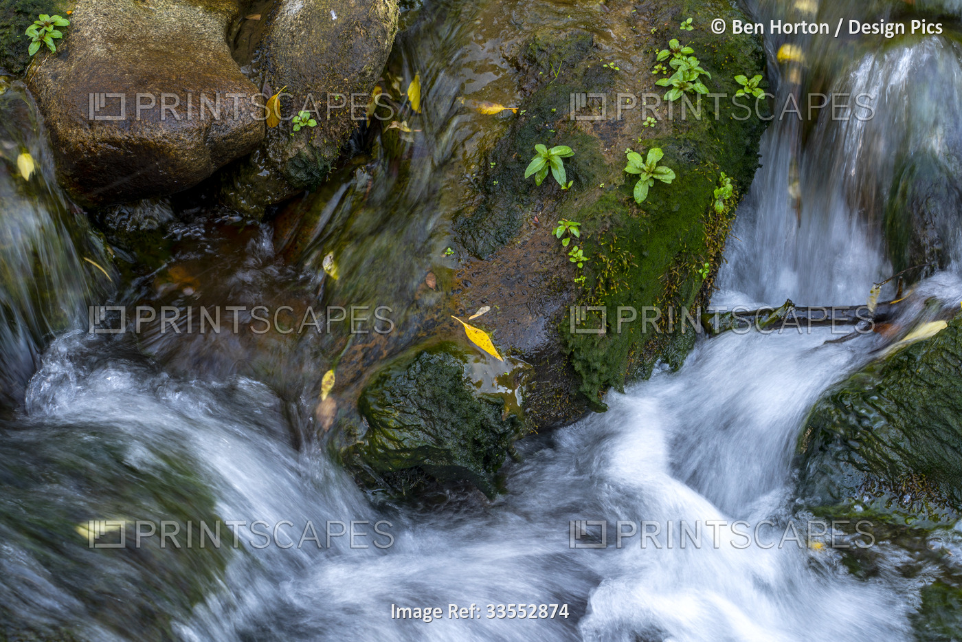 Slow shutter speed image of a small creek with water cascading over mossy rocks ...