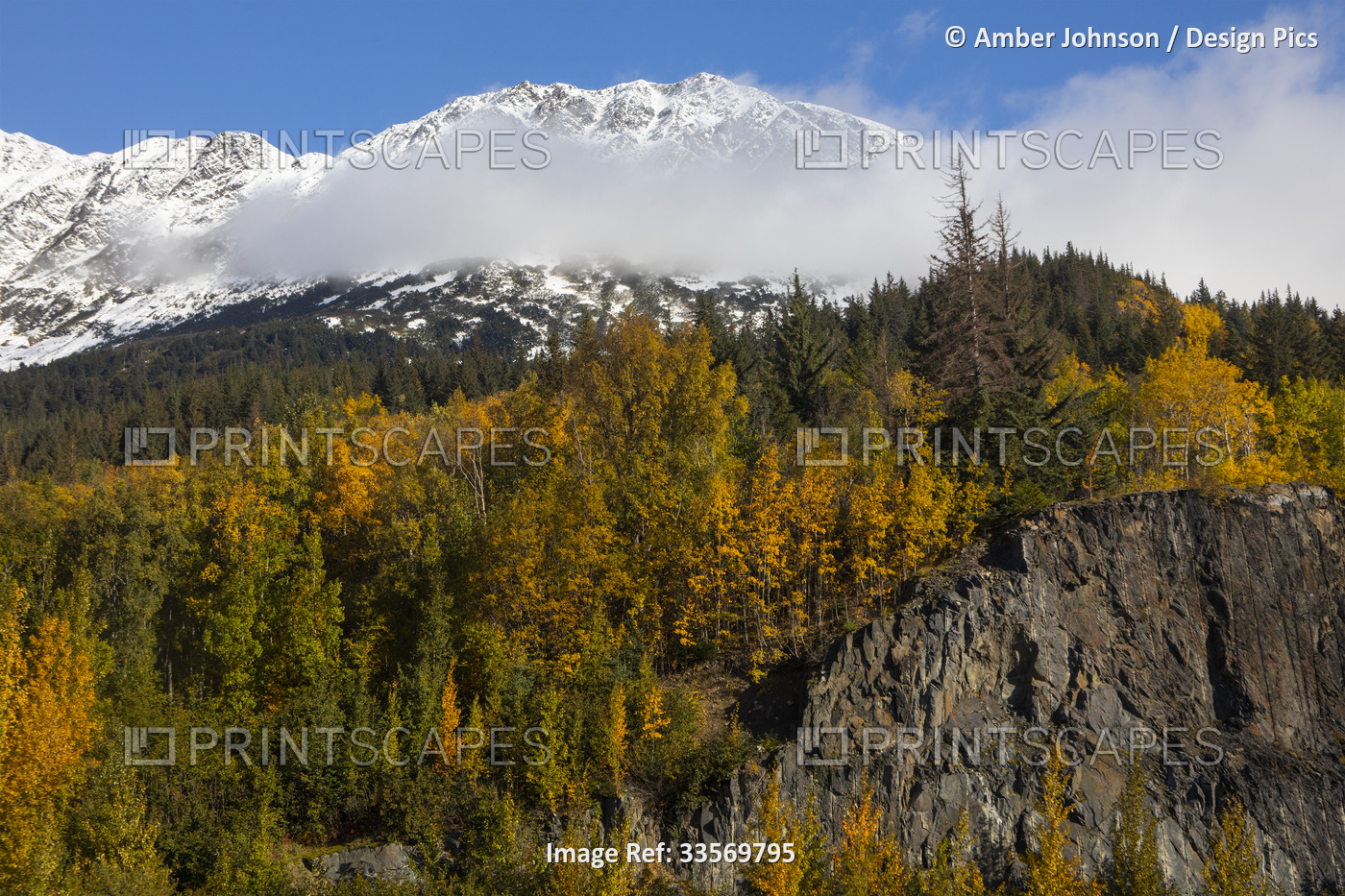 Fall colors on a sunny day with a blue sky along the Seward Highway outside of ...