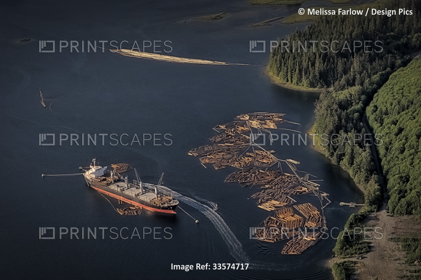 Aerial view of timber, floating logs from a nearby mill in a protected bay, ...