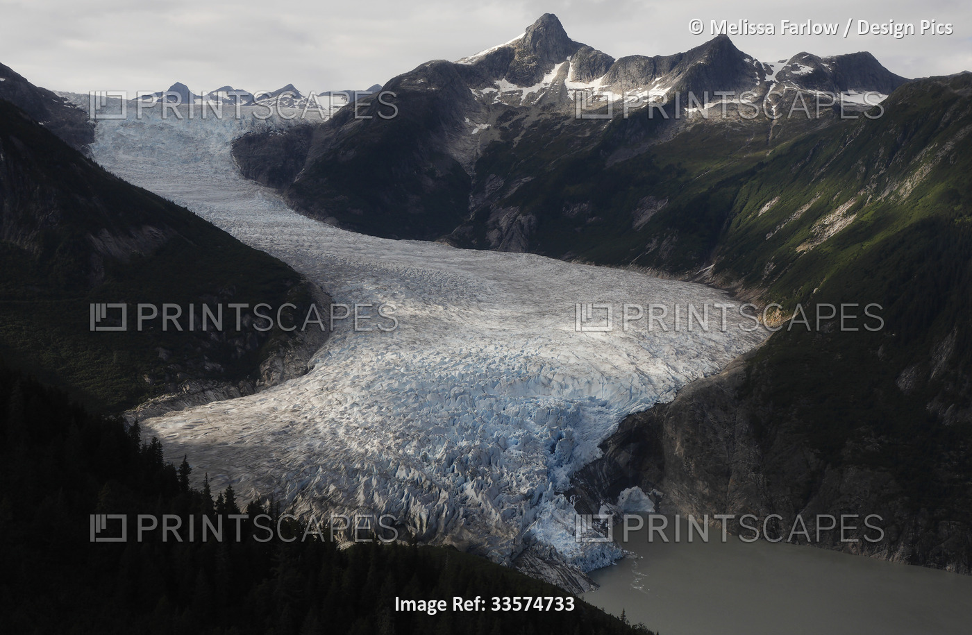 Taku Glacier is a tidewater glacier and the deepest and thickest alpine ...