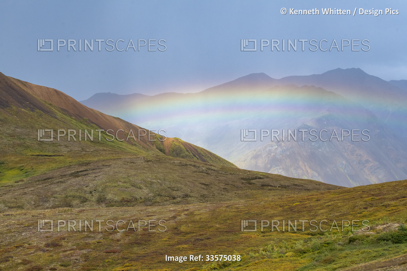 Rainbow in Denali National Park and Preserve, Interior Alaska, USA; Alaska, ...
