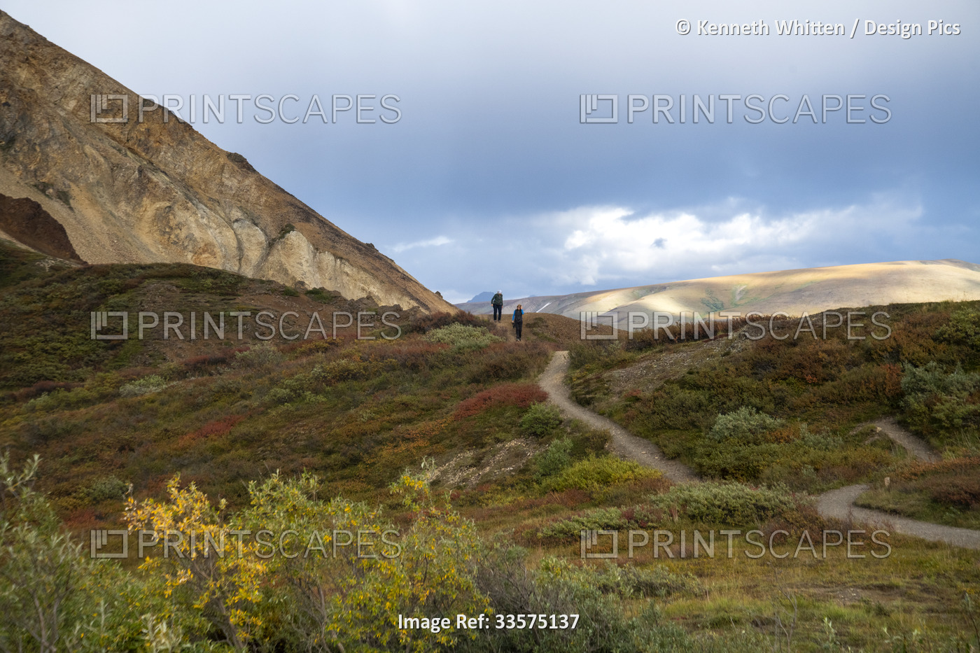 Hikers at Polychrome Overlook; Denali National Park And Preserve, Interior ...