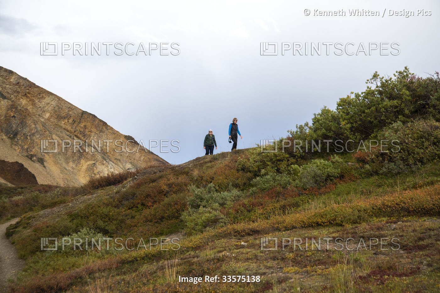Hikers at Polychrome Overlook walking along a ridge with fall colored ...