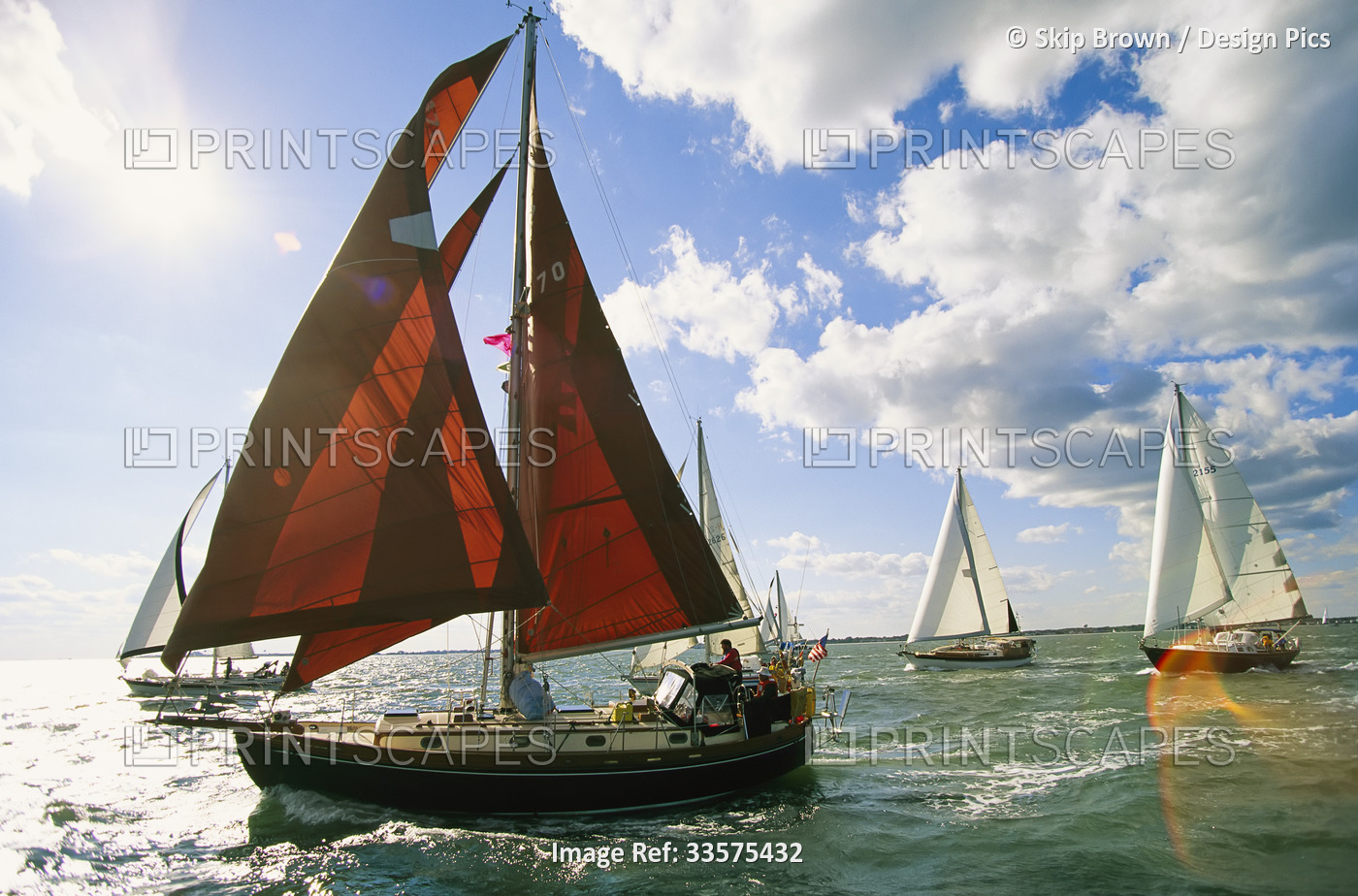 Red-sailed sailboat and others in a race on the Chesapeake Bay.; Chesapeake ...