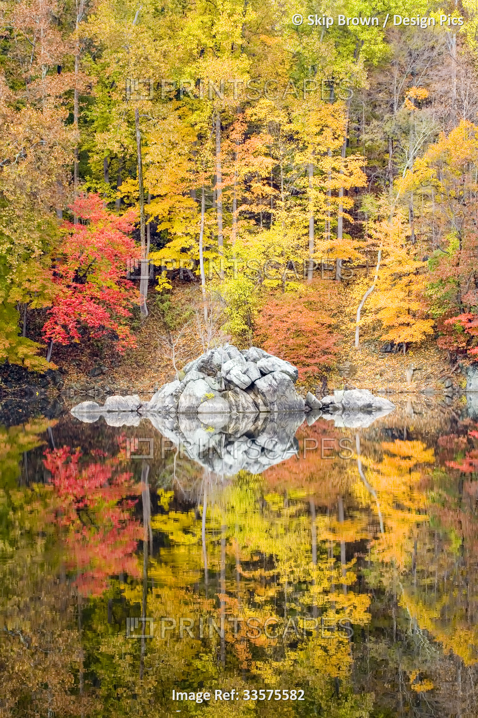 Fall coloured foliage along the C&O Canal, Chesapeake and Ohio Canal National ...