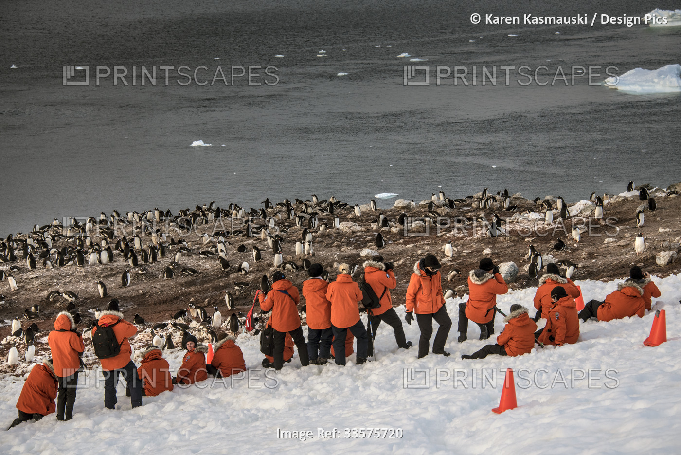 Visitors to Antarctica's Ducas Island, on a late day hike, photographing a ...