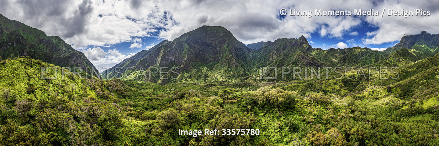 Panoramic of the Iao Valley in the West Maui Mountains, Maui, Hawaii, USA; ...