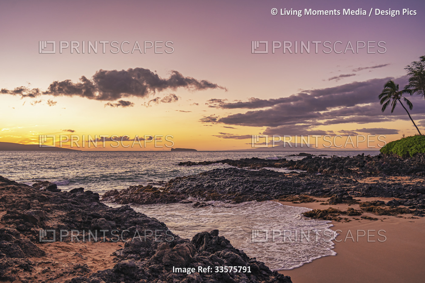 Warm sunset light over a beach with palm trees and lava rock on the golden sand ...