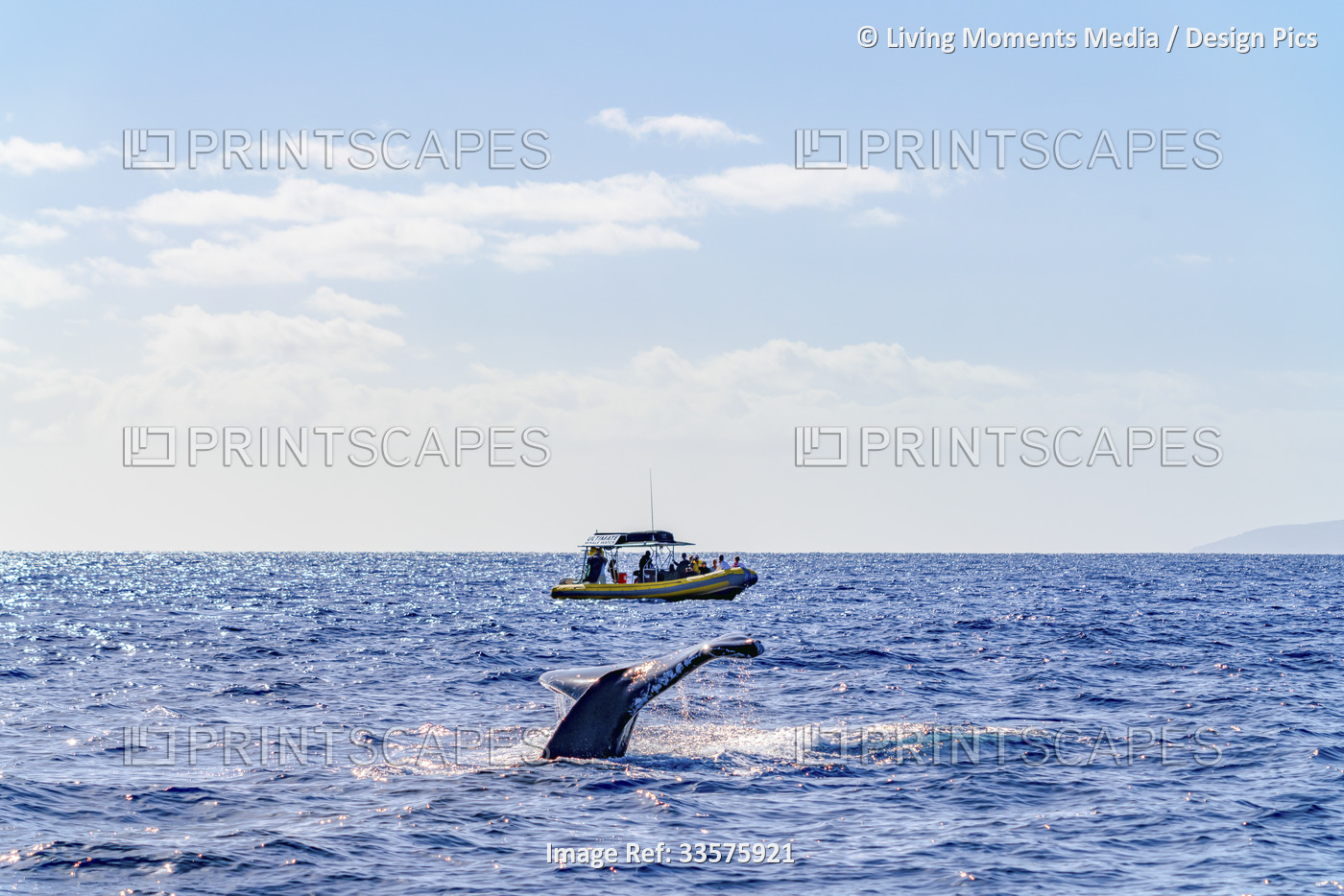 Tourists on an expedition view a whale fluke from their boat in the open ocean ...