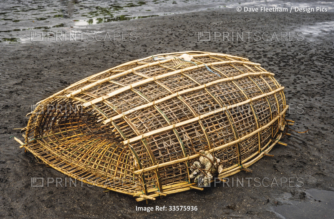 A traditional woven bamboo fishing trap on a volcanic black sand beach; Manado, ...