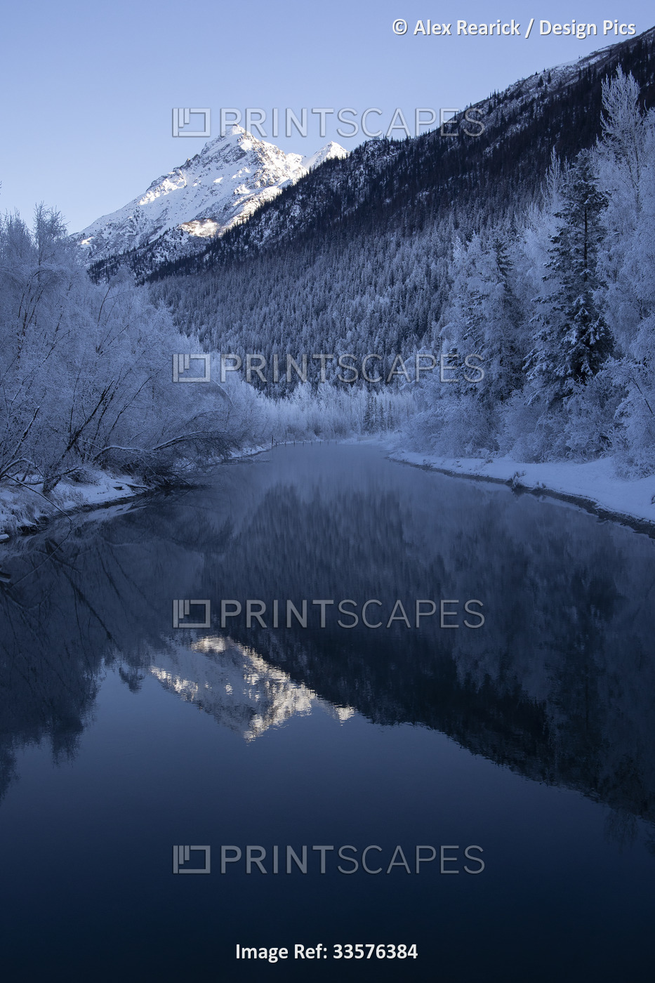 Winter beauty at sunrise, with a frosty forest and snowy shoreline reflected in ...