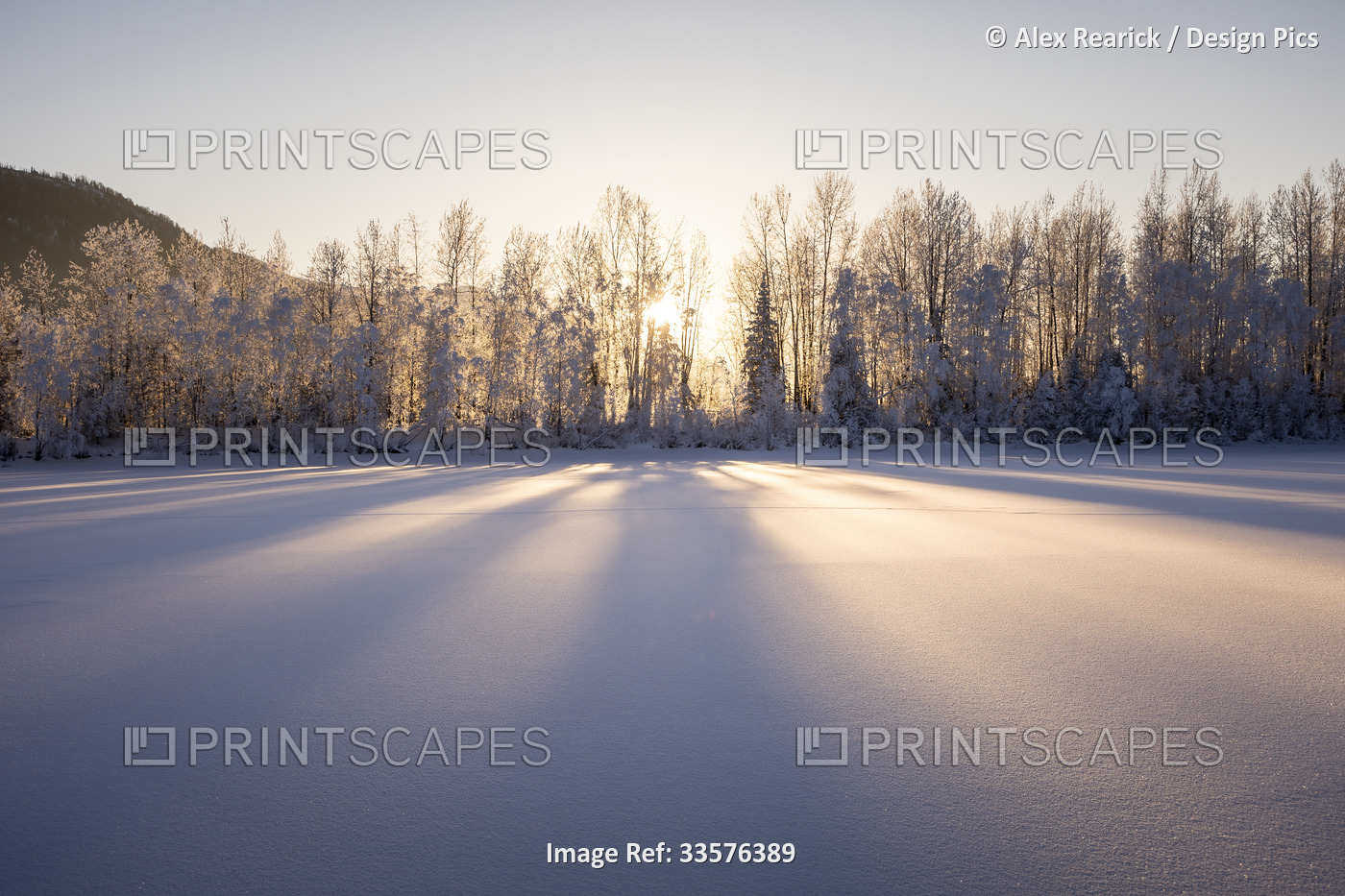 Long shadows fall on snow at sunset, Palmer Hay Flats in Alaska, USA; Palmer, ...