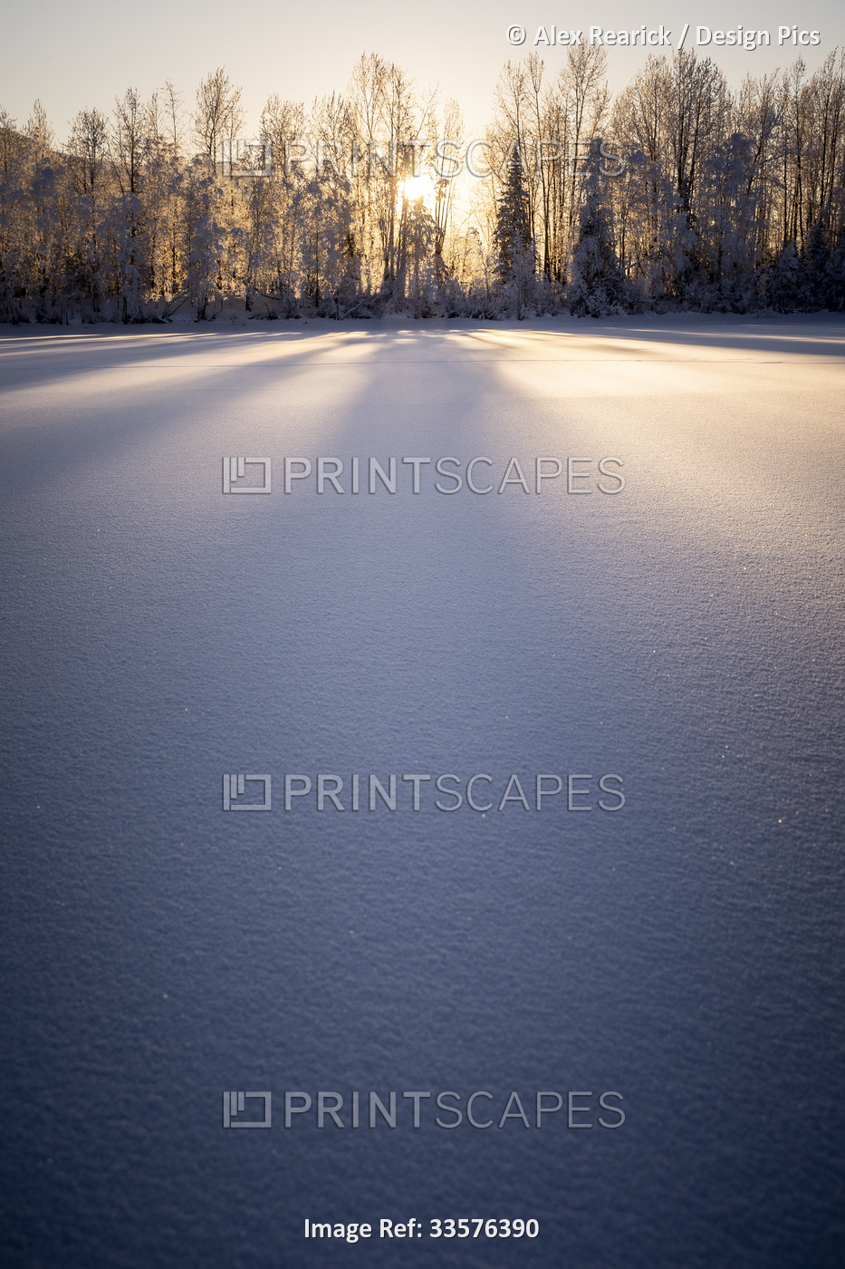 Long shadows fall on snow at sunset, Palmer Hay Flats in Alaska, USA; Palmer, ...
