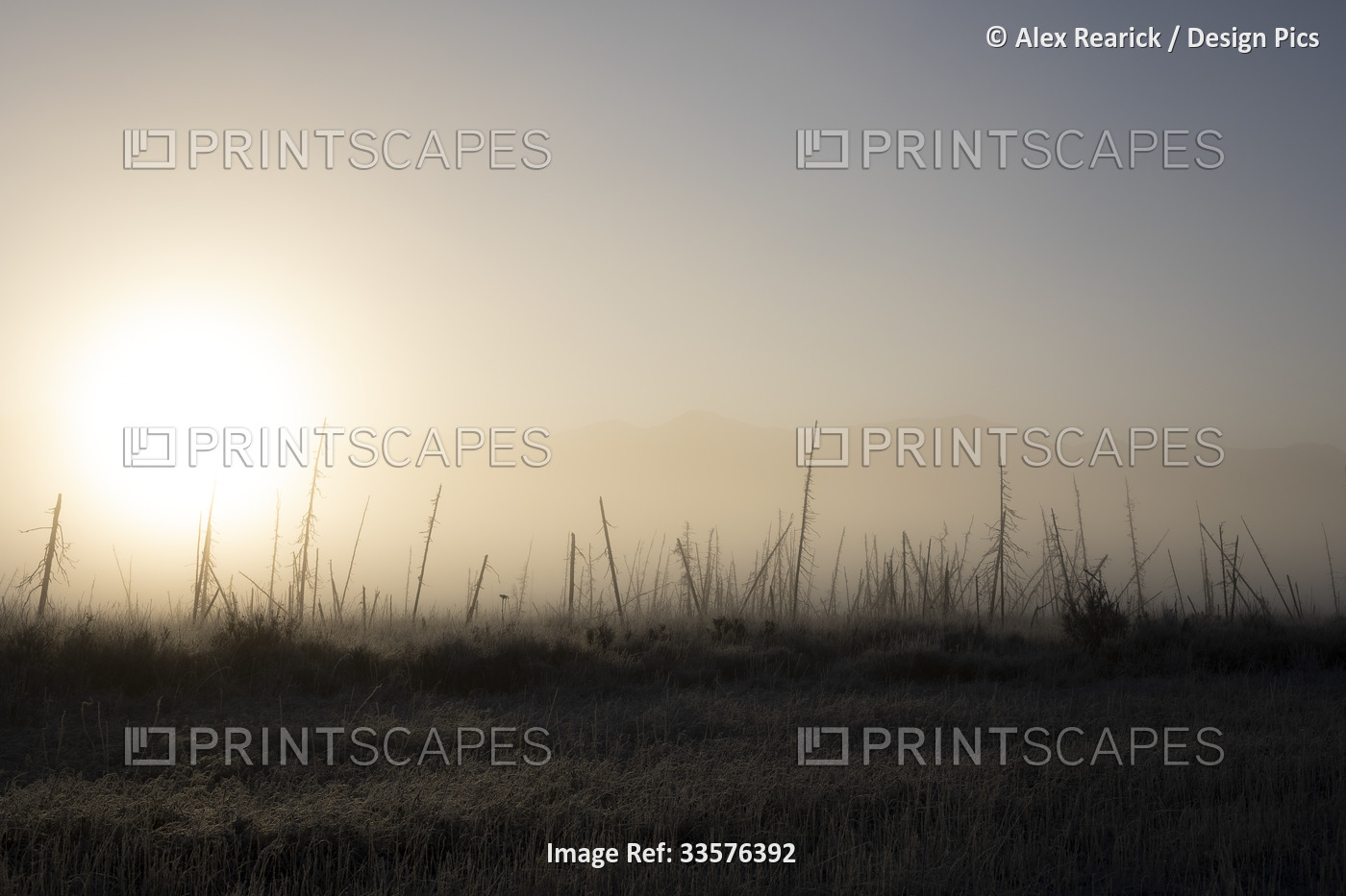 Fog settles over a frosty landscape with a warm glowing sun; Palmer, Alaska, ...