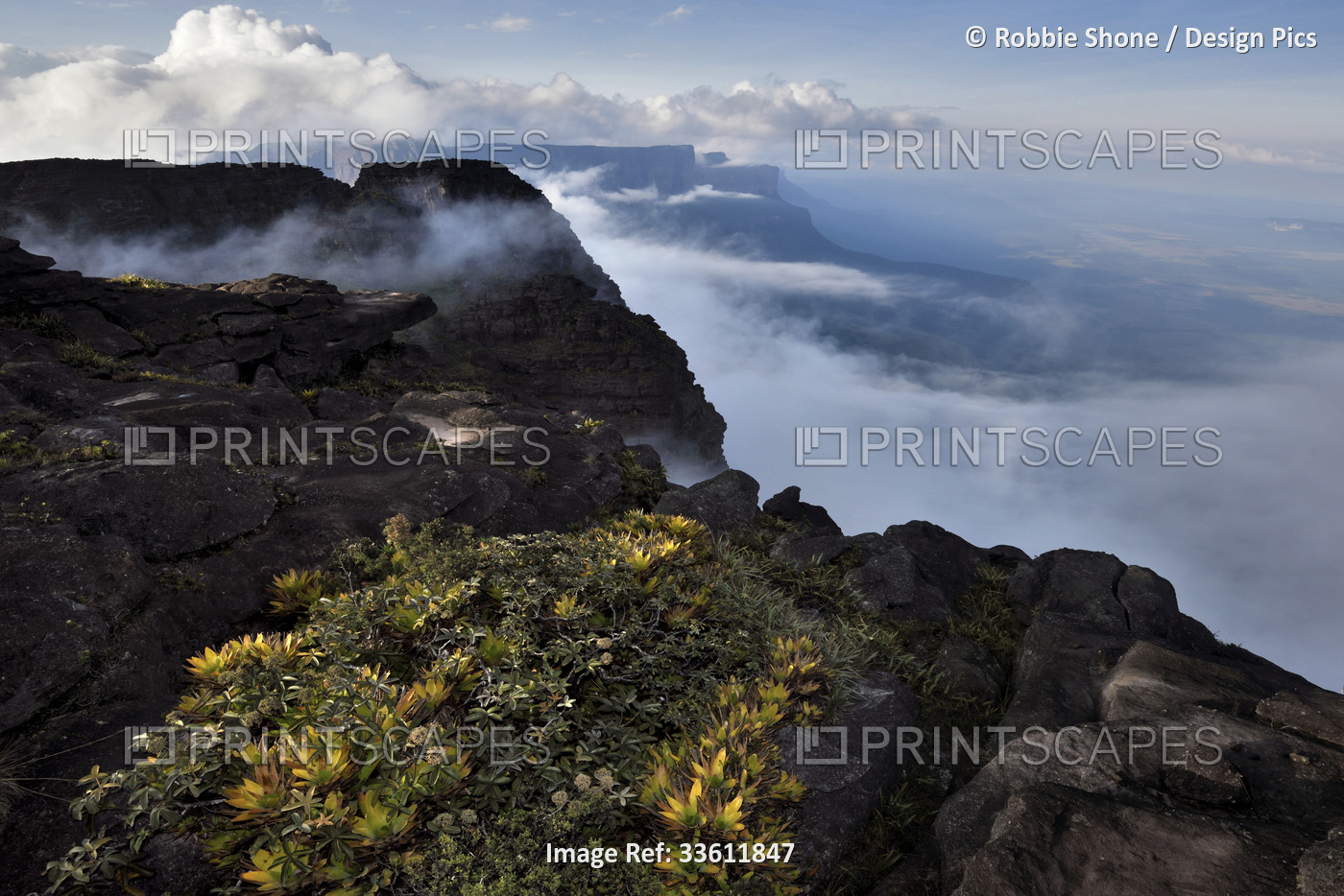 The east facing cliffs of Auyan Tepui.; Gran Sabana, Venezuela.